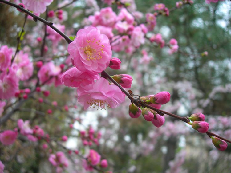 DSCN2870-3.jpg