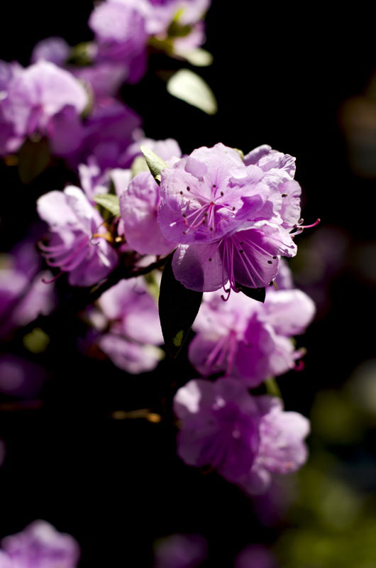 DSC_3422_С.jpg