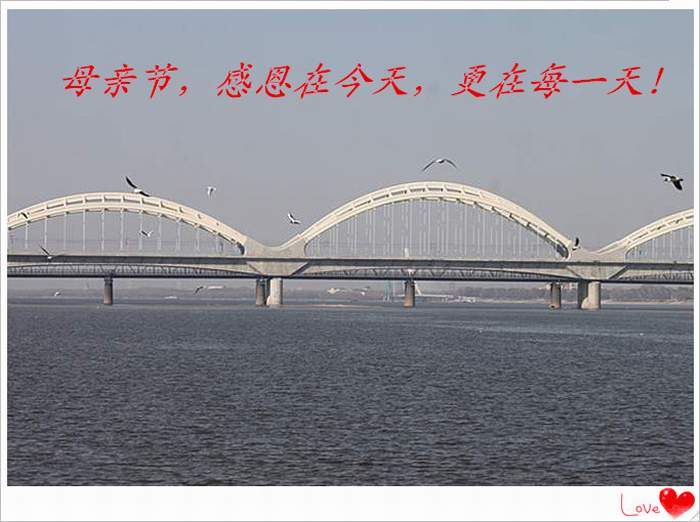 IMG_7771__.jpg