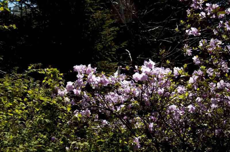 DSC_3474_С.jpg