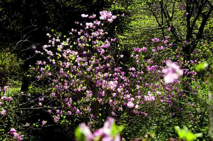 DSC_3484_С.jpg