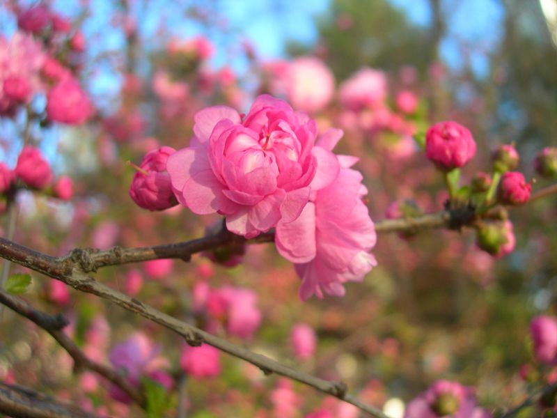DSCN3046-3.jpg