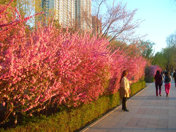 DSCN3093-3.jpg