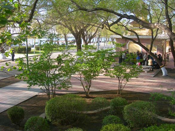 DSCN2958-3.jpg