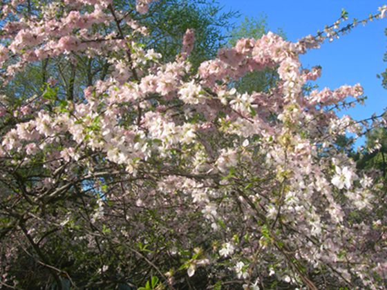 DSCN2967-3.jpg