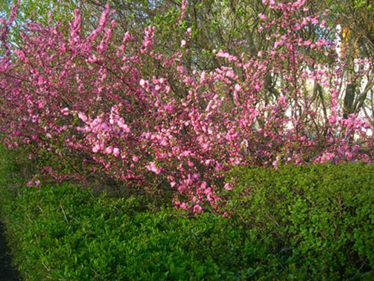 DSCN2998-3.jpg