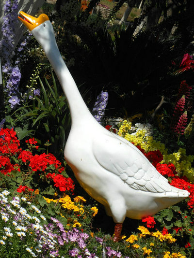 DSCN5792.JPG