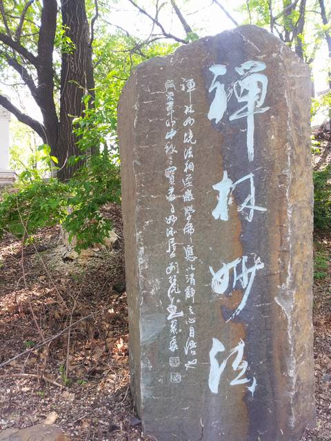 20160516_141153.jpg
