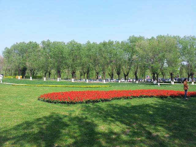 20160516_143344.jpg