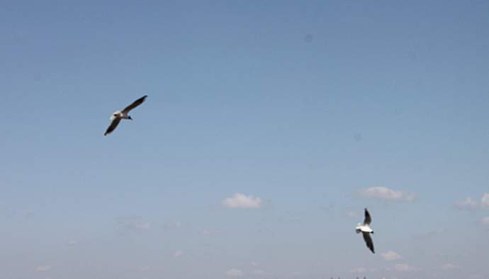 IMG_8363_.jpg