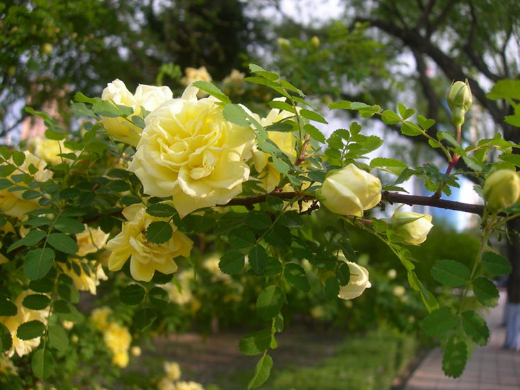 DSCN3918-3.jpg