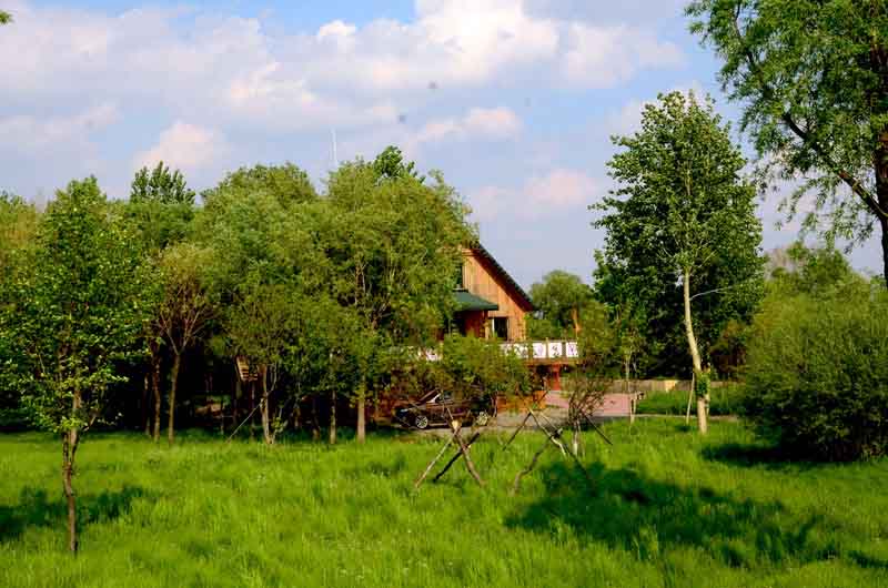 DSC_4591_ͼ_С.jpg