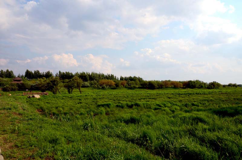 DSC_4614_ͼ_С.jpg
