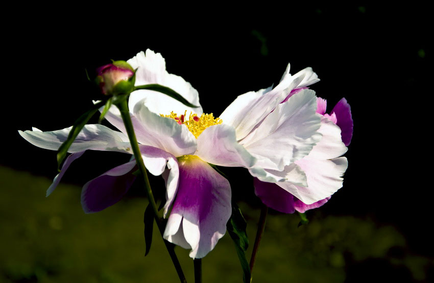 DSC_4944_ͼ_С.jpg