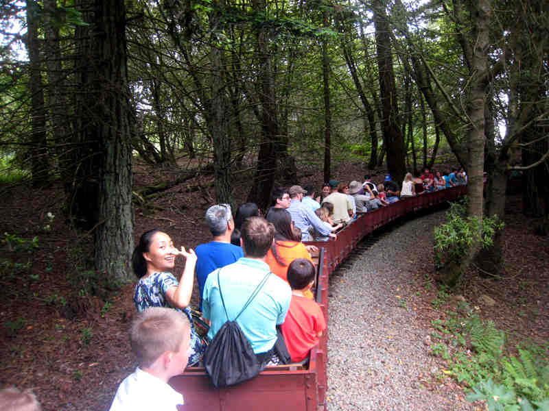 s12.jpg