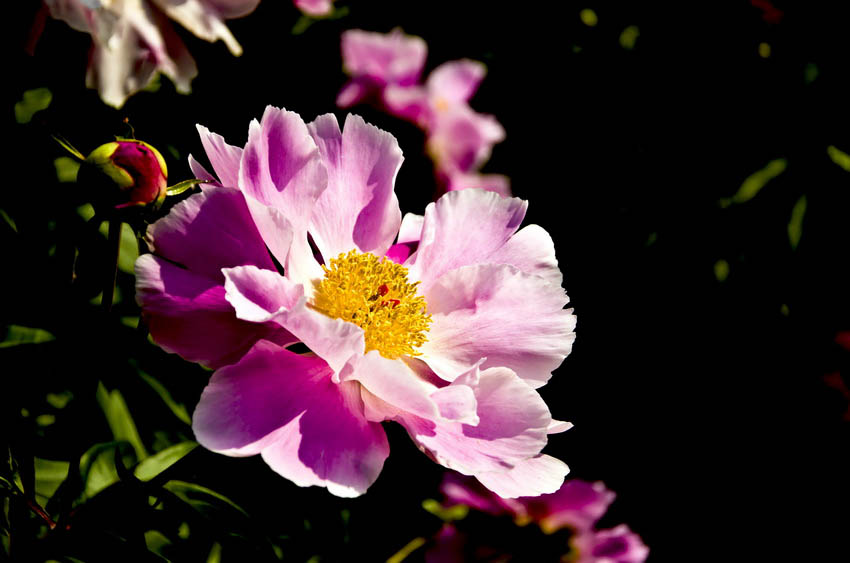 DSC_4945_ͼ_С.jpg