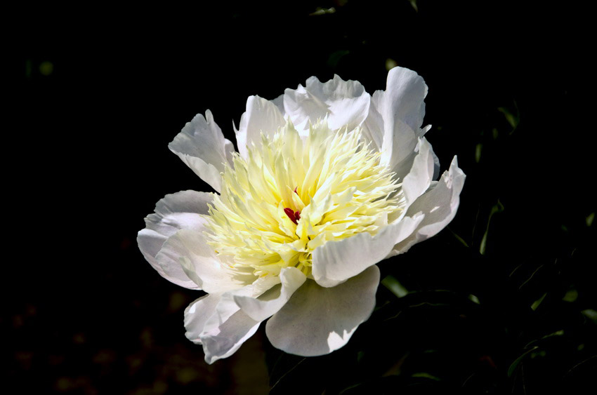 DSC_4953_ͼ_С.jpg