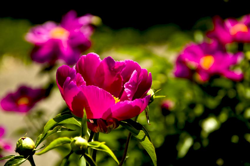 DSC_4991_ͼ_С.jpg