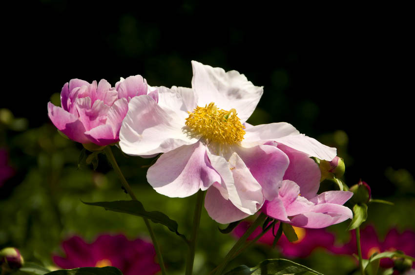 DSC_5014_ͼ_С.jpg