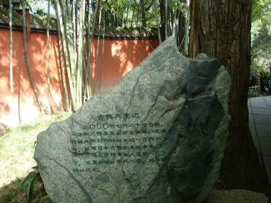 psb (4).jpg