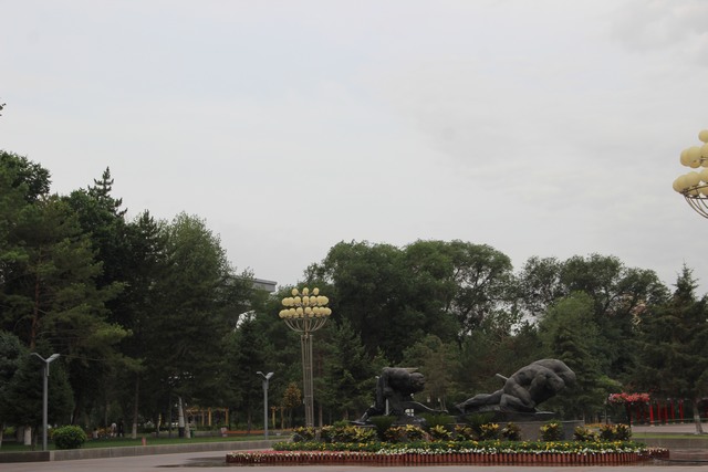 IMG_5741.JPG