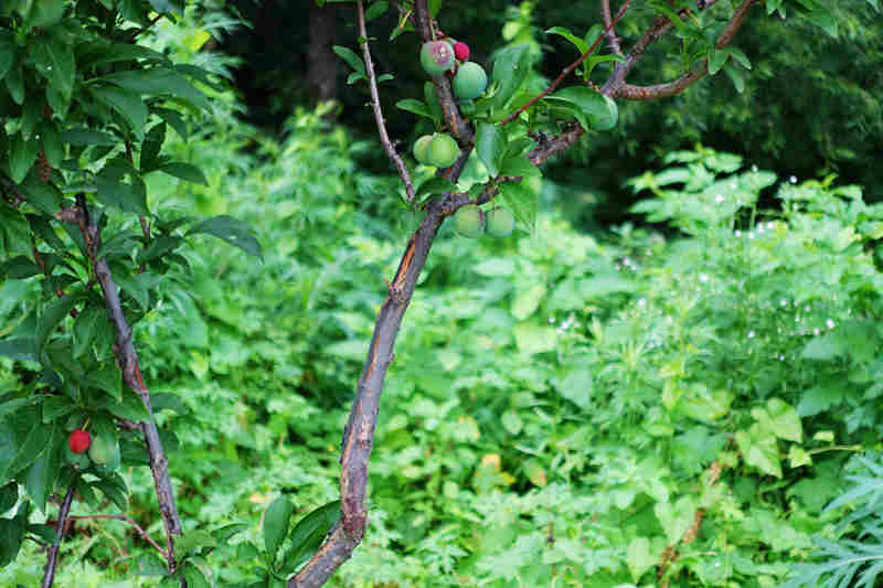 DSC03015.JPG