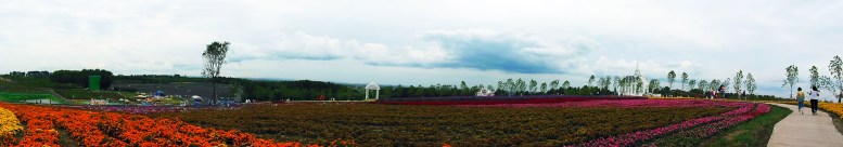 DSCN4592_conew1.jpg