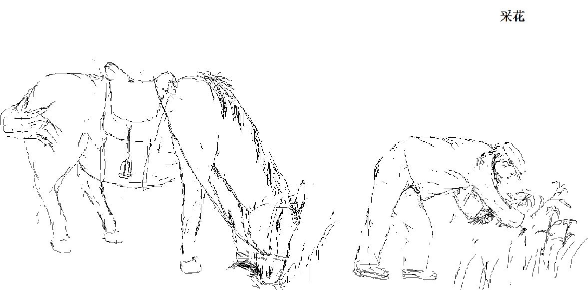 ɻ.png