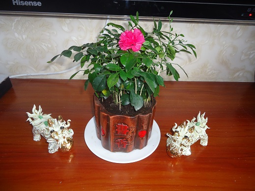 DSC08449.JPG