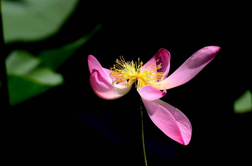 DSC_8954_ͼ_С.jpg