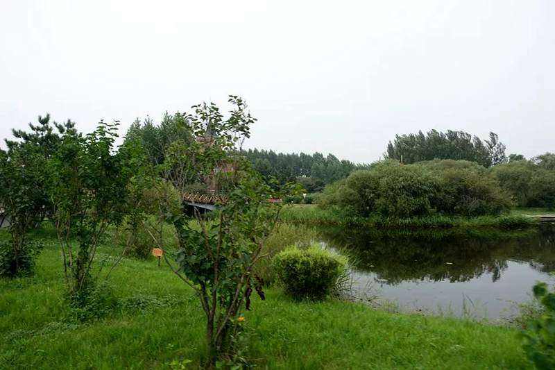 z6.jpg