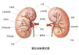 t012f806c8e050450f6.jpg