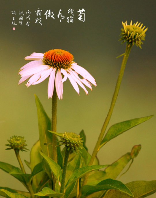 4c714ef9hb13749ff0ec2&690.jpg