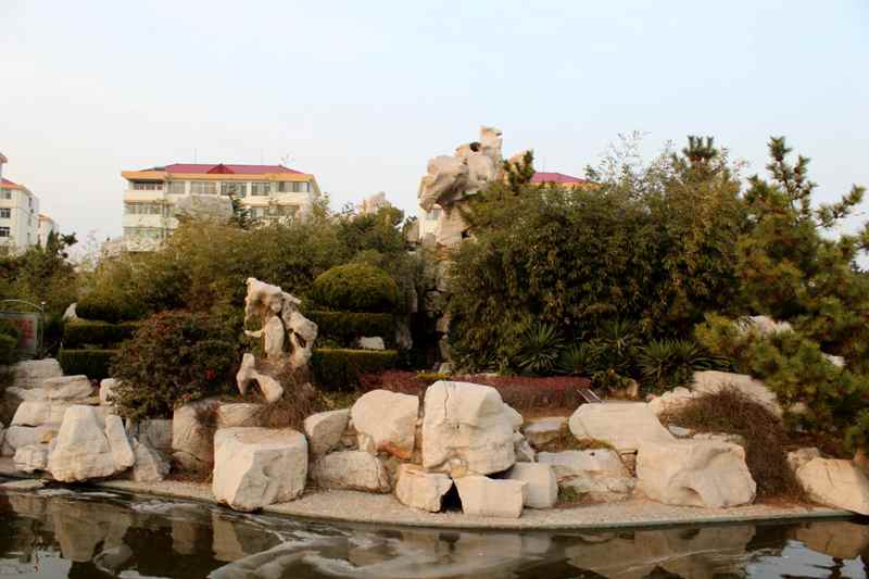 IMG_2870.JPG