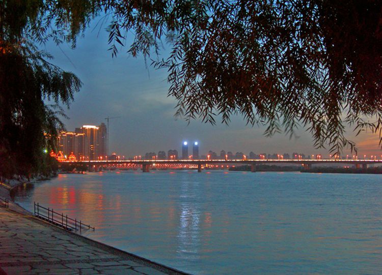 DSCN4299-3.jpg