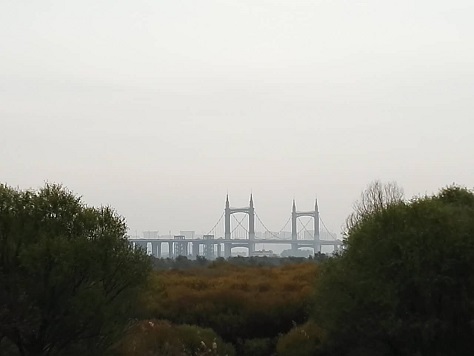 mmexport1475915111298.jpg