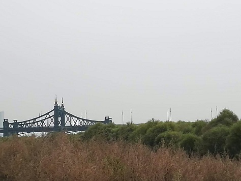 mmexport1475915114260.jpg