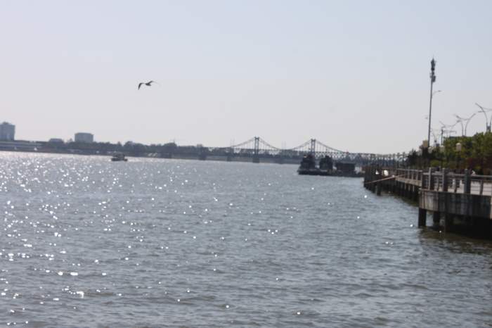 IMG_5262.JPG