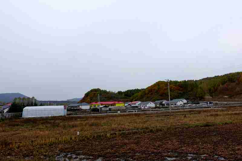 DSC07594.JPG