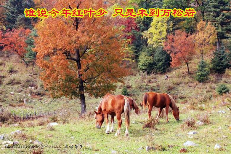 001lBdm2zy75f7CQGGV2d&690_conew1.jpg