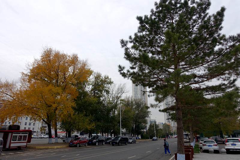 DSC08081.JPG