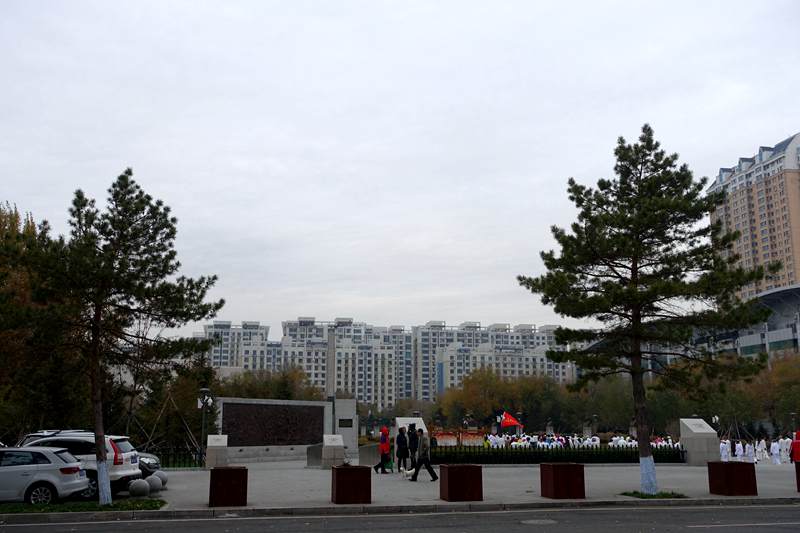 DSC08083.JPG