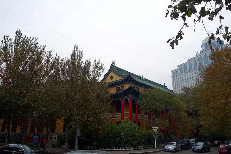 DSC08130.JPG