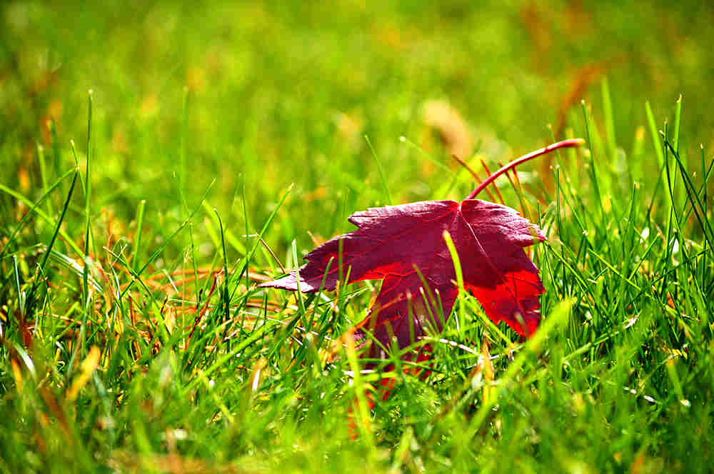 DSC_0733__.jpg