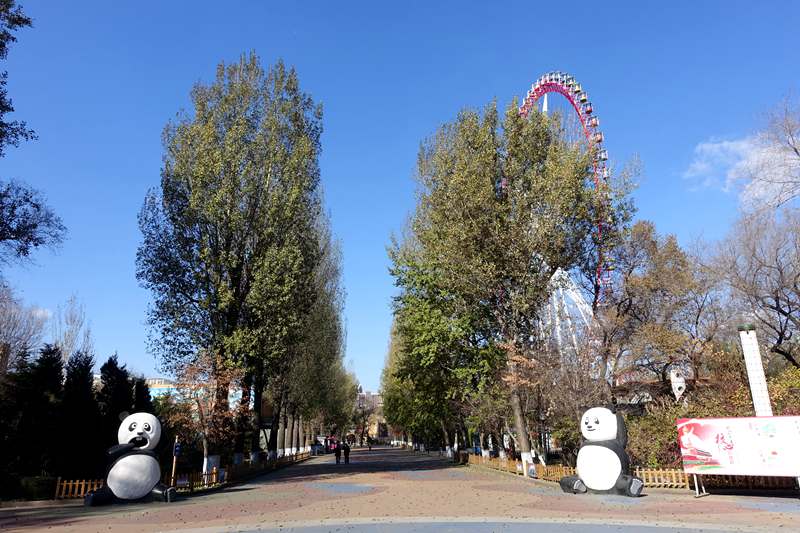 DSC08278.JPG