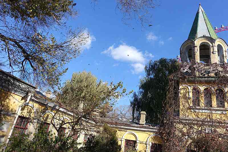 DSC08287.JPG