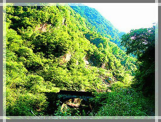 34_ [550x390].jpg