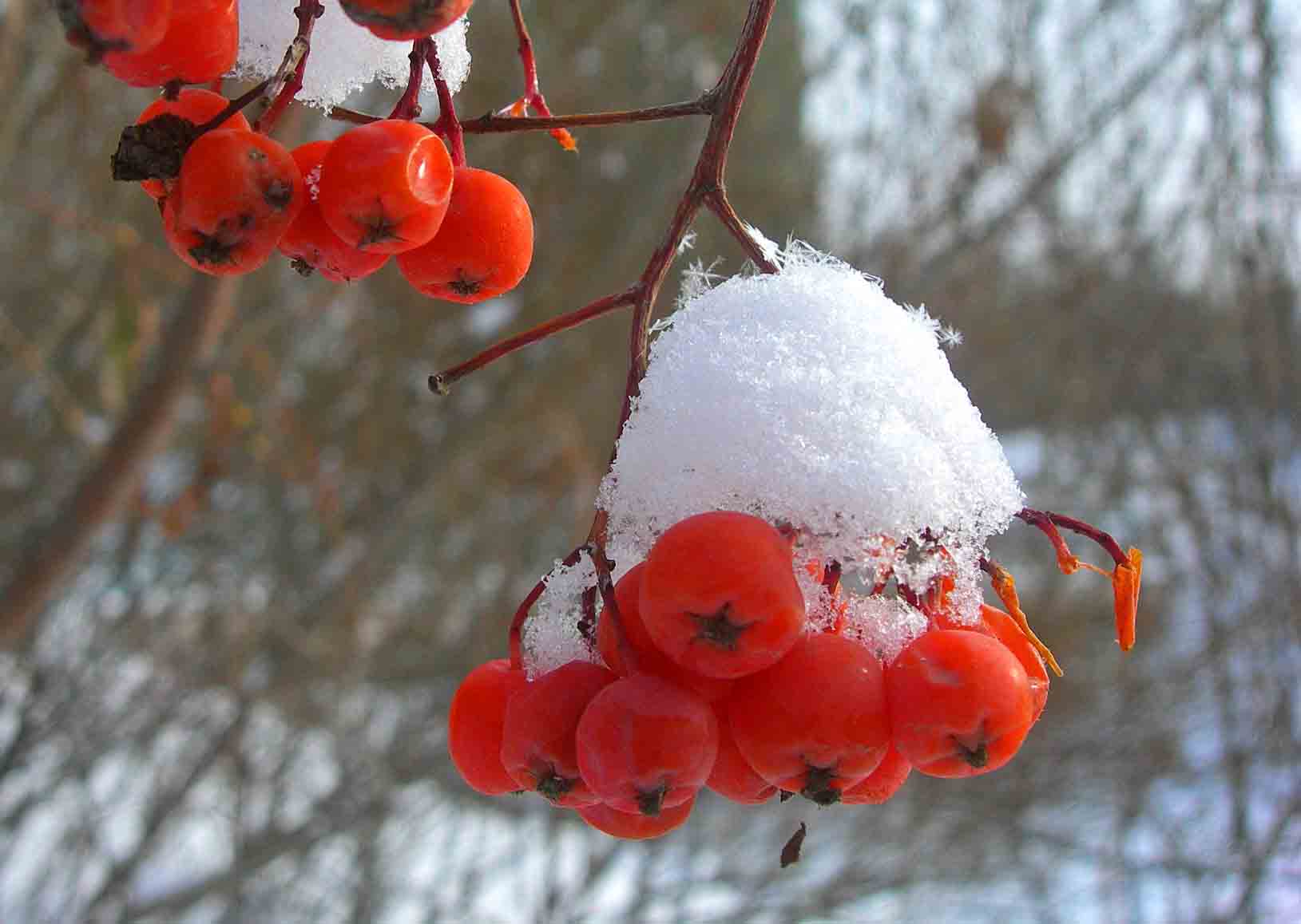 1-DSCN1955-3.jpg