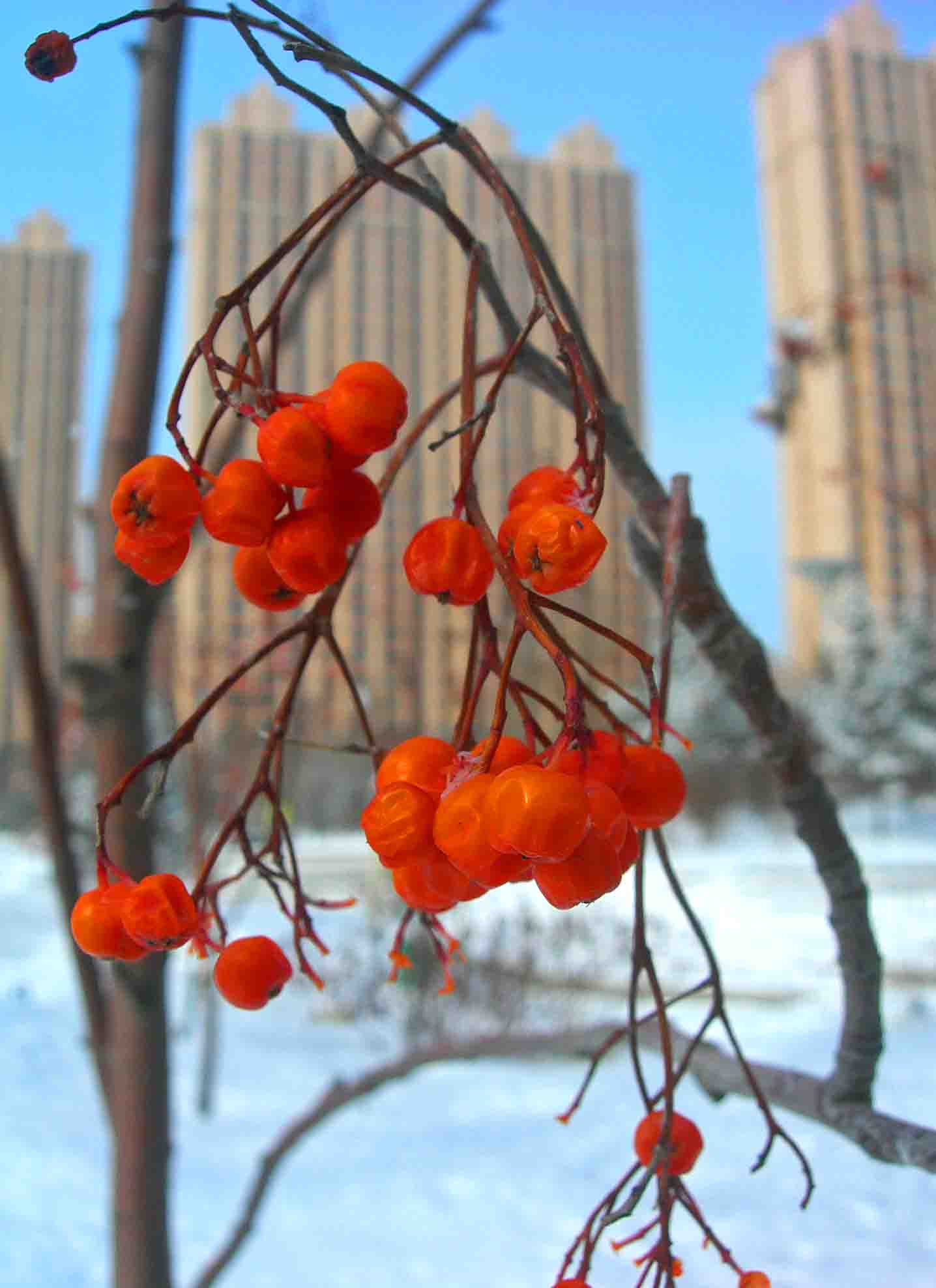 DSCN1949-3.jpg