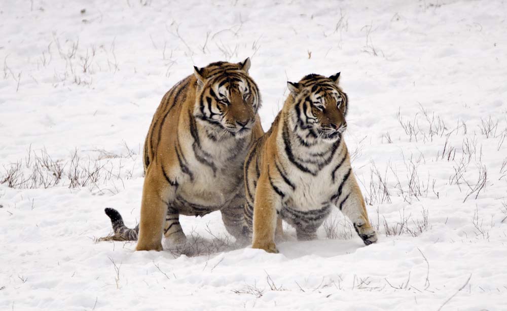 DSC_9590_ͼ_С.jpg